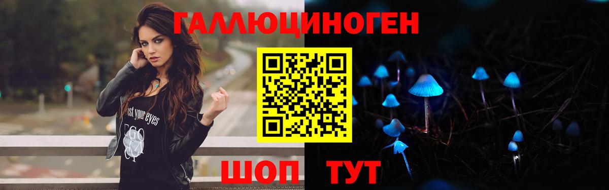 Псилоцибиновые грибы Psilocybine cubensis  Вход с VPN  Кунгур 